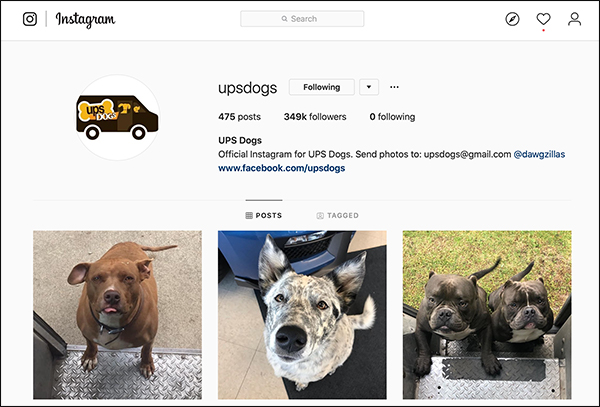 Screen shot of UPS Dogs Instagram page