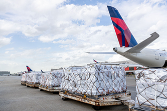 Delta Cargo joins sustainability alliance