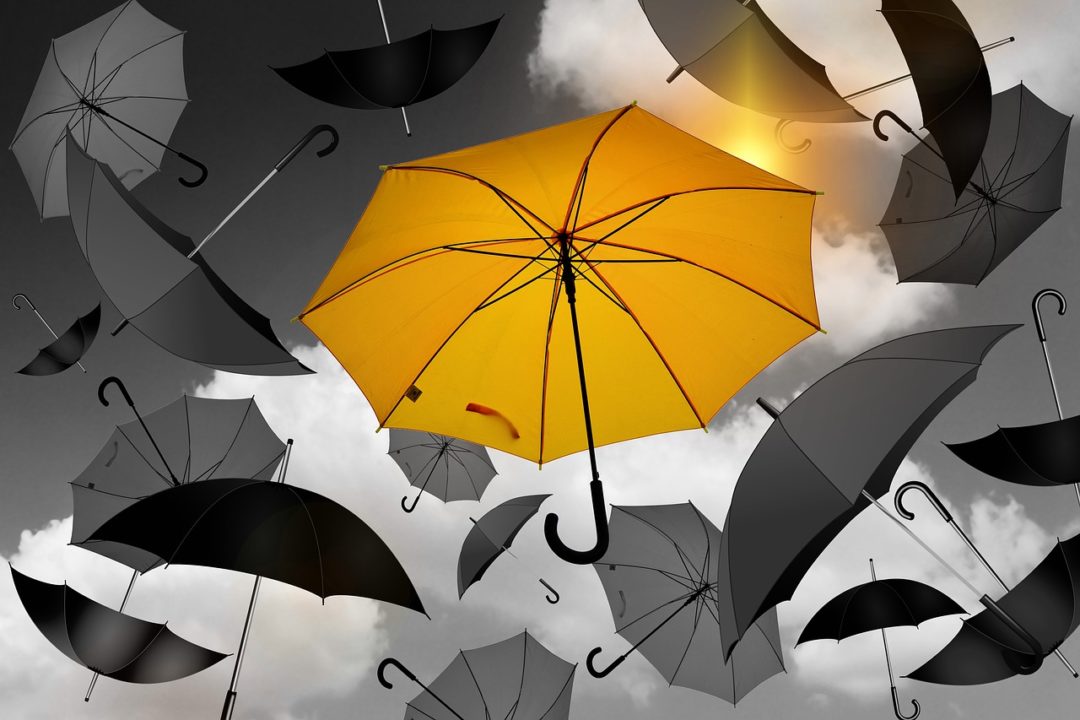 rainmaker umbrella-1588167_1280.jpeg