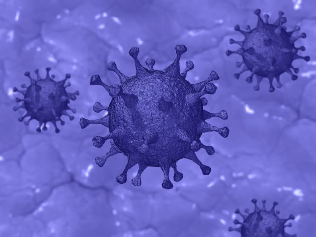 virus drawing coronavirus
