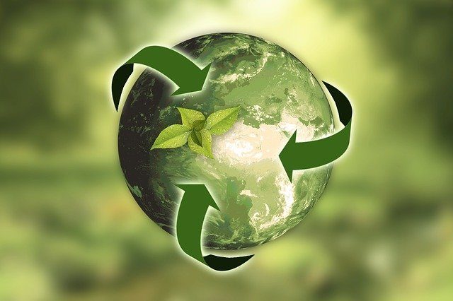 Shippers more focused on sustainability, study shows