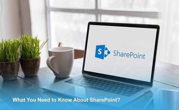 What You Need to Know About Microsoft SharePoint?