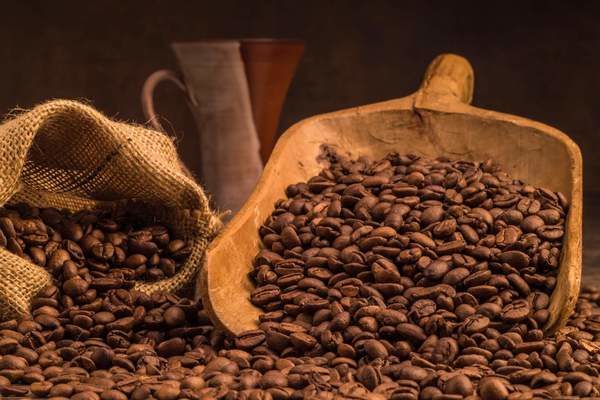 From the bean to the cup: Dachser Supports Brazilian Coffee Imports as U.S. Demand Grows