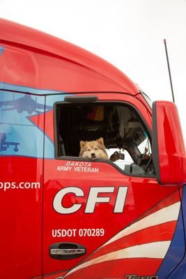CFI Promotes Lifestyle Benefits of Pet Ride-Alongs for Drivers