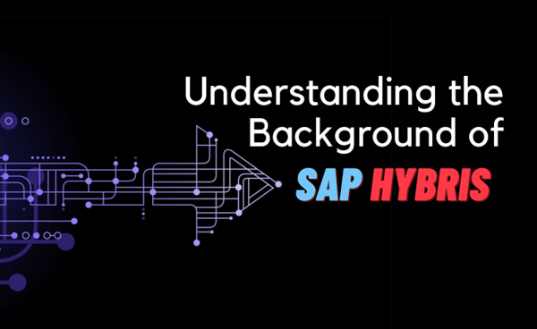 Understanding the Background of SAP Hybris