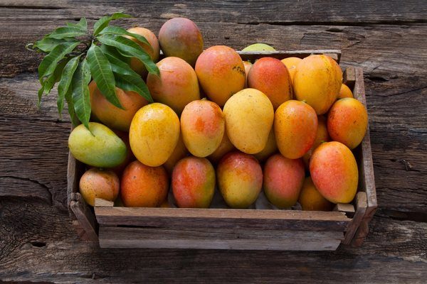 Dachser Mexico Keeps Mango Exports Flowing to Europe with Weekly Air Freight Service