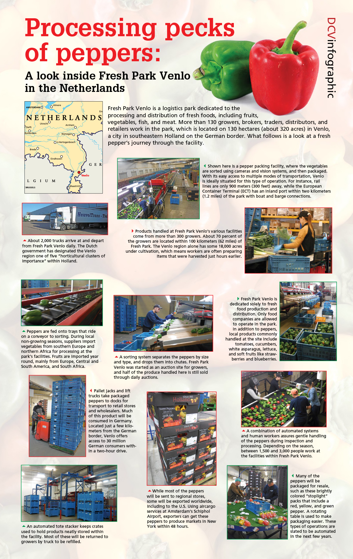 DCV Infographic: Processing pecks of peppers: A look inside Fresh Park Venlo in the Netherlands. This logistics park is dedicated to the processing and distribution of fresh foods. Here's is a look at a fresh pepper's journey through the facility.