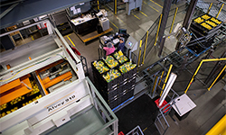 Palletizing area seen by above