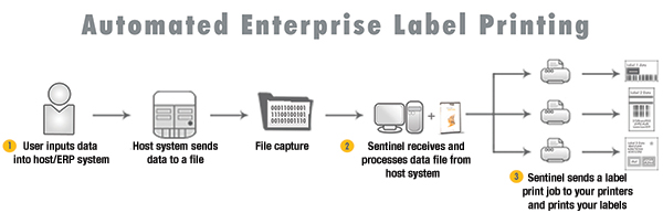 Flow chart showing Sentinel label printing automation works